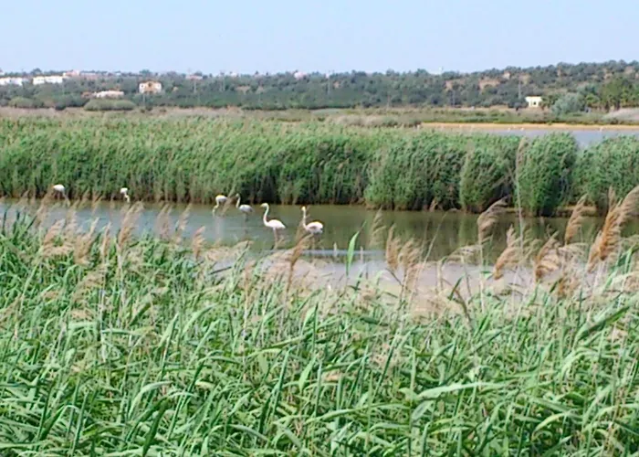 Apartmanhotel Bayside Salgados Albufeira