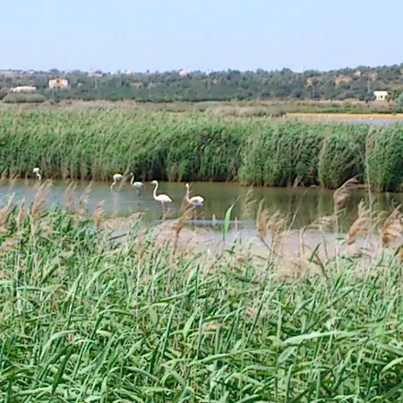 מלון דירות Bayside Salgados אלבופיירה