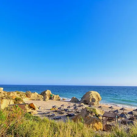 Bayside Salgados אלבופיירה